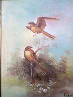 Olieverf schilderij Vogels gesigneerd Engel, Ophalen of Verzenden