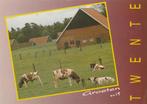 TWENTE Boerderij met Koeien Groeten, Verzenden, 1980 tot heden, Gelopen, Overijssel