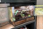 Exoterra terrarium, Ophalen, Gebruikt, Terrarium of Paludarium