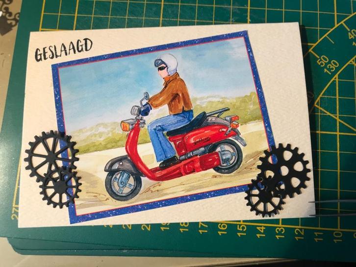 Diverse scooter rijbewijs kaarten, Hobby en Vrije tijd, Kaarten | Zelfgemaakt, Nieuw, Overige thema's, Ophalen of Verzenden