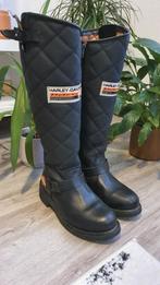 Harley Davidson Laconia 646 Maat 38, Ophalen, Hoge laarzen, Harley Davidson, Zwart
