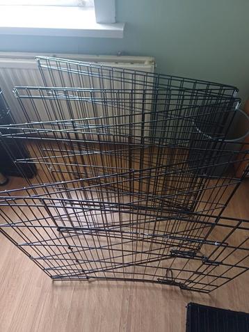 Puppy ren.  beschikbaar voor biedingen