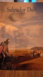 Salvador Dali DALI boek 1979, Ophalen of Verzenden, Gelezen