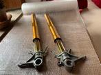 Manuele Ohlins panigale voorvork met FGR1690 TTX25 cartridge, Ophalen of Verzenden