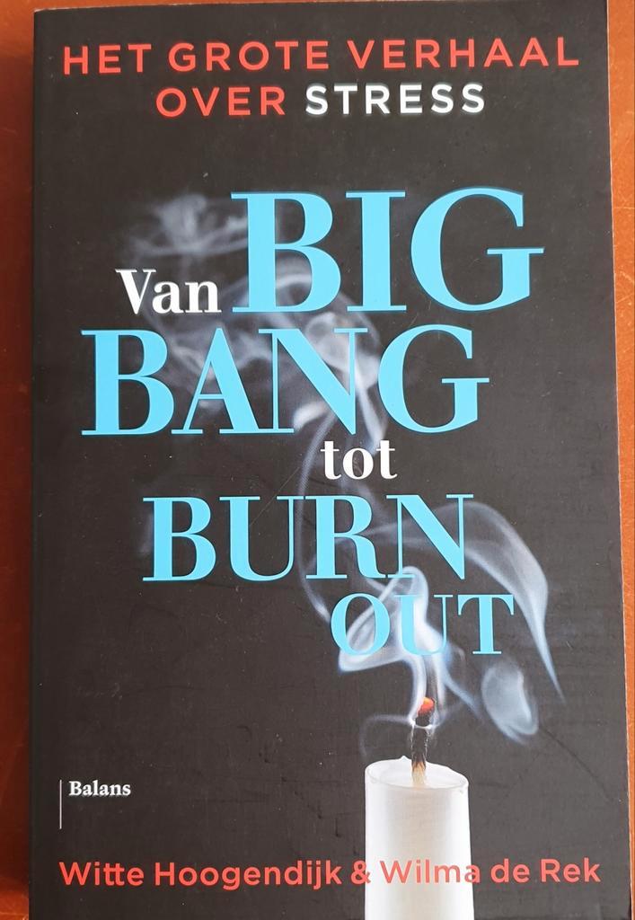 Het Grote Verhaal Over Stress - Hoogendijk & De Rek, Boeken, Psychologie, Zo goed als nieuw, Overige onderwerpen, Ophalen of Verzenden