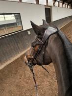 Fairfield hoofdstel full, Dieren en Toebehoren, Paarden en Pony's | Hoofdstellen en Tuigage, Ophalen, Zo goed als nieuw, Springen