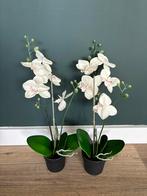 Twee mooie kunst orchideeën wit, Nieuw, Binnen, Ophalen