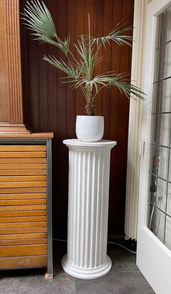 Mooie hoge plantenzuil kolom pilaar + pot met palm, Huis en Inrichting, Woonaccessoires | Zuilen en Pilaren, Zo goed als nieuw