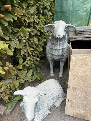 €100, voor 2 schapen tuinbeelden, heeft buiten gestaan beschikbaar voor biedingen