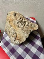 Grote zware hoornsteen, Verzamelen, Mineralen en Fossielen, Ophalen of Verzenden, Mineraal