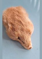 Echt nerts kopje, Ophalen, Zo goed als nieuw, Stoffen beer, Overige merken