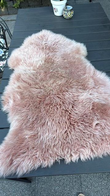 Vacht roze deb styles beschikbaar voor biedingen