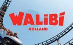 4x walibi kaartjes + parkeerkaart, Drie personen of meer, Ticket of Toegangskaart