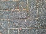 Gratis  betonklinkers 20 m2, Tuin en Terras, Tegels en Klinkers, Ophalen, Gebruikt, Klinkers, 10 m² of meer