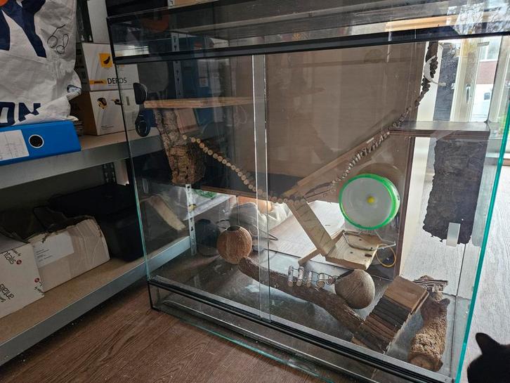 Terrarium groot 50x80x80cm, Dieren en Toebehoren, Knaagdieren en Konijnen | Hokken en Kooien, Hok, 60 tot 90 cm, 75 tot 110 cm