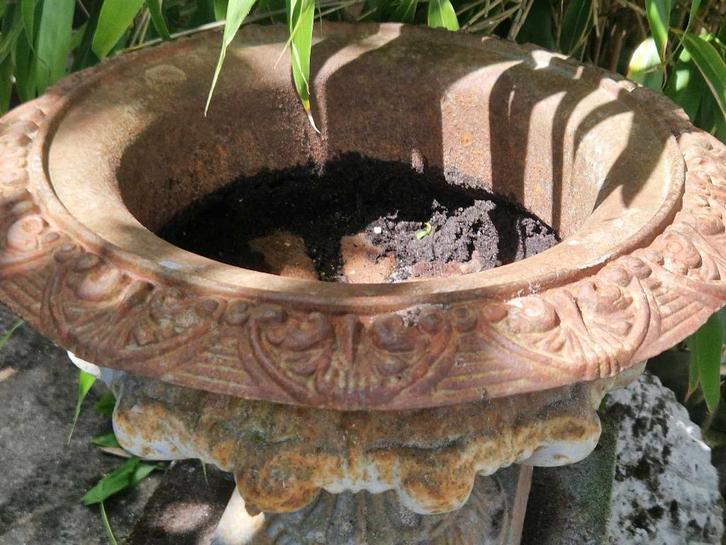 Antieke sierlijke gietijzeren vaas + sokkel/pilaar(brocante), Tuin en Terras, Tuinvazen, Gebruikt, Ophalen