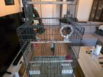 vogelkooi op wielen voor Papegaai of Valkparkiet., Dieren en Toebehoren, Vogels | Hokken en Kooien, Ophalen, Gebruikt, Metaal