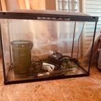 Aquarium, Ophalen, Gebruikt, Verlichting of Verwarming