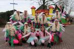 Carnavalskleding - Feeën kostuum/loopgroep/carnavalswagen, Maat 38/40 (M), Carnaval, Ophalen of Verzenden, Zo goed als nieuw
