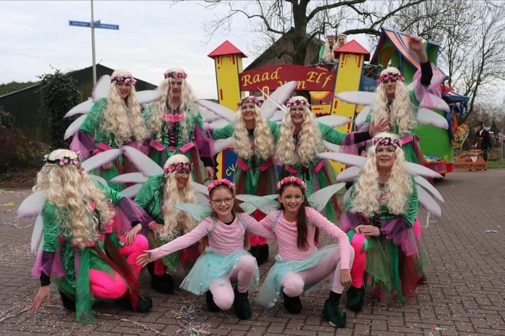 Carnavalskleding - Feeën kostuum/loopgroep/carnavalswagen, Kleding | Dames, Carnavalskleding en Feestkleding, Zo goed als nieuw