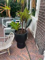 Elho Bloempot L - Zeer Goede Staat, Tuin en Terras, Bloempotten, Ophalen, Kunststof, 40 cm of meer, Rond