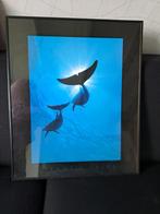 schilderij dolfijnen, Schilderij, Zo goed als nieuw, 50 tot 75 cm, Oorspronkelijke maker
