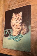 Poesje speelt met ketting, Verzenden, Ongelopen, Hond of Kat