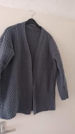 Een hand gebreid vest, Kleding | Dames, Truien en Vesten, Ophalen of Verzenden, Zo goed als nieuw, Maat 38/40 (M)