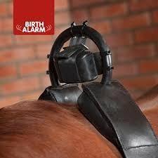 Birth alarm te huur, Dieren en Toebehoren, Paarden en Pony's | Overige Paardenspullen, Zo goed als nieuw, Overige soorten, Ophalen of Verzenden