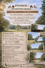 PENSIONPLEKKEN VOOR PAARDEN DIE NIET OP GRAS MOGEN, Weidegang