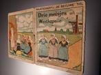 Boekje Maatschappij ,,DE BETUWE " TIEL, Ophalen of Verzenden, Zo goed als nieuw, Overige typen