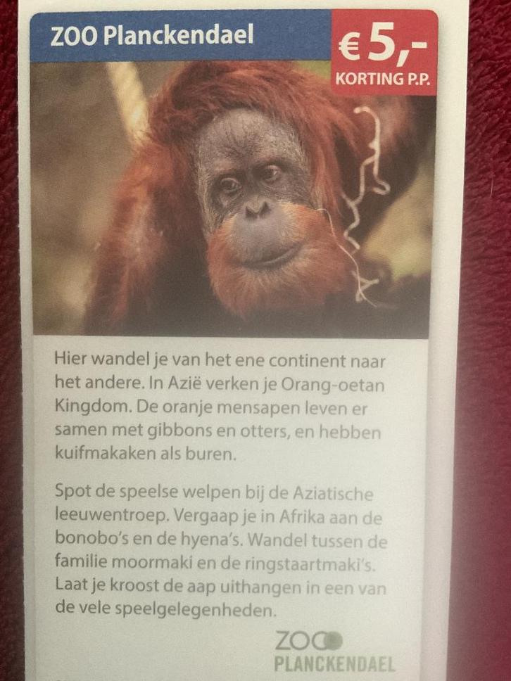 Zoo Planckendael Dierentuin Mechelen Voordeelbon, Tickets en Kaartjes, Recreatie | Dierentuinen, Drie personen of meer, Dierentuinbon
