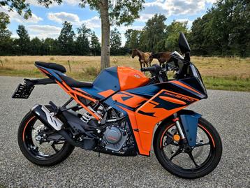 KTM RC 390 ABS 2024 A2 32KW LED TFT 390RC 3919KM TOPSTAAT beschikbaar voor biedingen