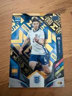 Momentum fifa 365 rice, Ophalen of Verzenden, Zo goed als nieuw, Buitenlandse clubs, Poster, Plaatje of Sticker