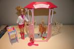 Barbie pony doctor met toebehoren, Ophalen of Verzenden, Gebruikt, Barbie