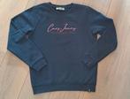 Cars Jeans sweater,.trui, maat 16, ZGAN, Kinderen en Baby's, Kinderkleding | Maat 176, Meisje, Trui of Vest, Ophalen of Verzenden