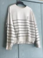 Trui maat M, Kleding | Dames, Truien en Vesten, Ophalen of Verzenden, Gedragen, Maat 38/40 (M)