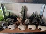 Aquarium decoratie vanaf €5 per stuk, Dieren en Toebehoren, Ophalen of Verzenden, Zo goed als nieuw, Sierelement