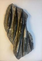 Orthoceras (Pijlstaart inktvis) (2), Ophalen of Verzenden, Fossiel