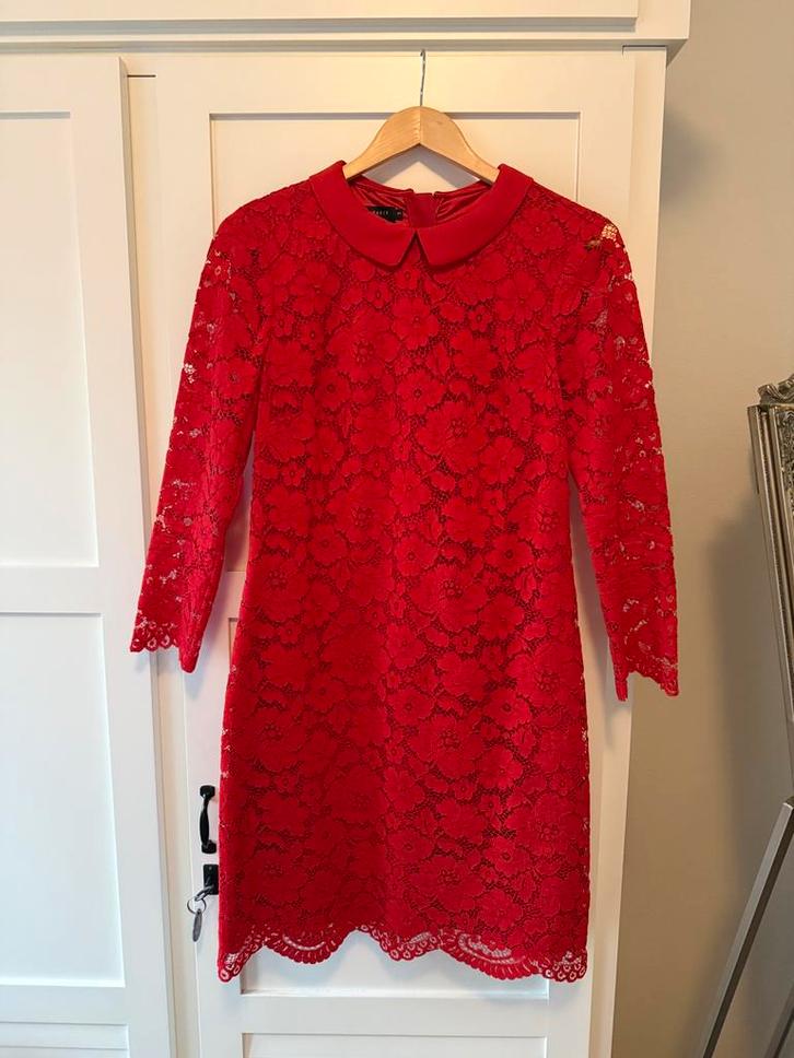 Ted Baker Rode Cocktailjurk Kant Maat 38, Kleding | Dames, Jurken, Zo goed als nieuw, Maat 38/40 (M), Rood, Boven de knie, Ophalen of Verzenden