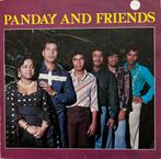 Panday And Friends - Bollywood Lp, Cd's en Dvd's, Zo goed als nieuw, Verzenden