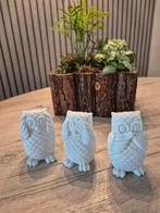 Horen zien en zwijgen. Uiltjes, Ophalen of Verzenden, Zo goed als nieuw, Dier