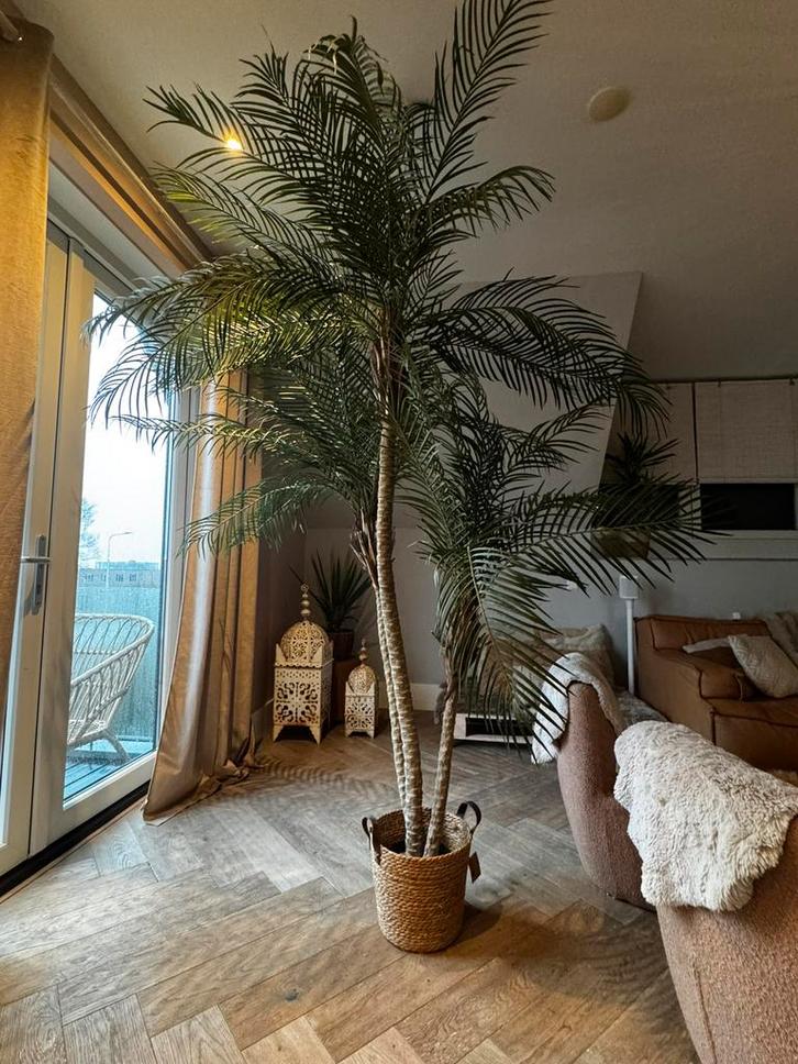 Luxe kunstpalm palm XL formaat, Ibiza boho style, Huis en Inrichting, Woonaccessoires | Kunstplanten en Kunstbloemen, Ophalen of Verzenden