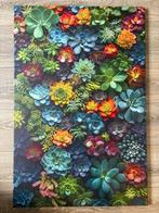 Vetplanten bloemen canvas 60x90cm nieuw, Oorspronkelijke maker, Nieuw, Schilderij, Minder dan 50 cm