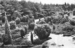 (301-331-005) Dwingeloo Natuurmonumenten, Verzamelen, Ansichtkaarten | Nederland, Verzenden, Drenthe