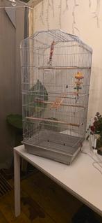 Te koop: zo goed als nieuwe vogelkooi
Zo goed als nieuwe vog, Ophalen of Verzenden, Zo goed als nieuw, Metaal, Vogelkooi