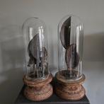 Hoffz stolpen set, Ophalen