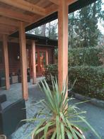 Chalet op de Veluwe (Doornspijk), Vakantie, Vakantiehuizen | Nederland, In bos, Tv, Gelderland en Veluwe, 3 slaapkamers