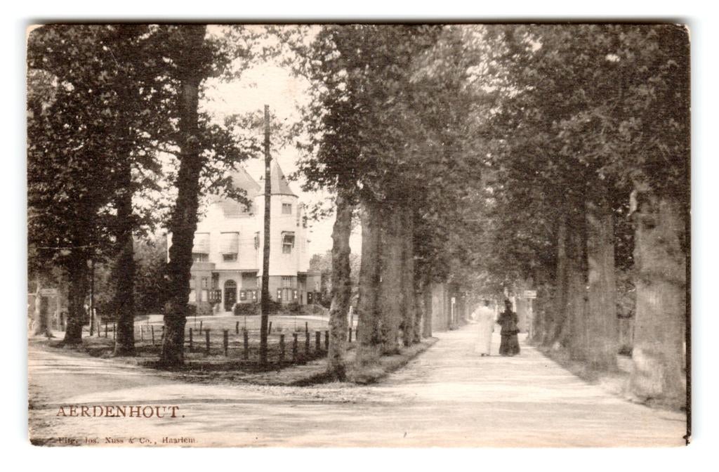 Aerdenhout, Tulpkaart, Verzenden, 1920 tot 1940, Ongelopen, Noord-Holland