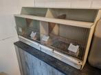Broedkooi van glas, Dieren en Toebehoren, Vogels | Hokken en Kooien, Ophalen of Verzenden, Zo goed als nieuw, Hout, Broedkooi of Kweekkooi